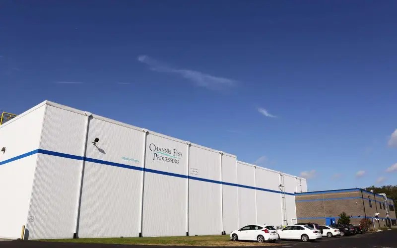 Channel Fish White Building